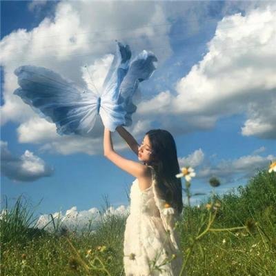 一个人的收藏